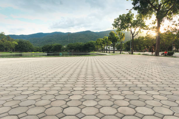 Best Custom Driveway Pavers  in Jacksonwald, PA